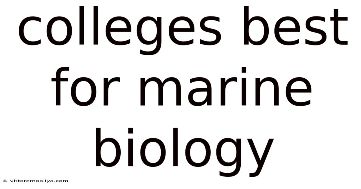 Colleges Best For Marine Biology