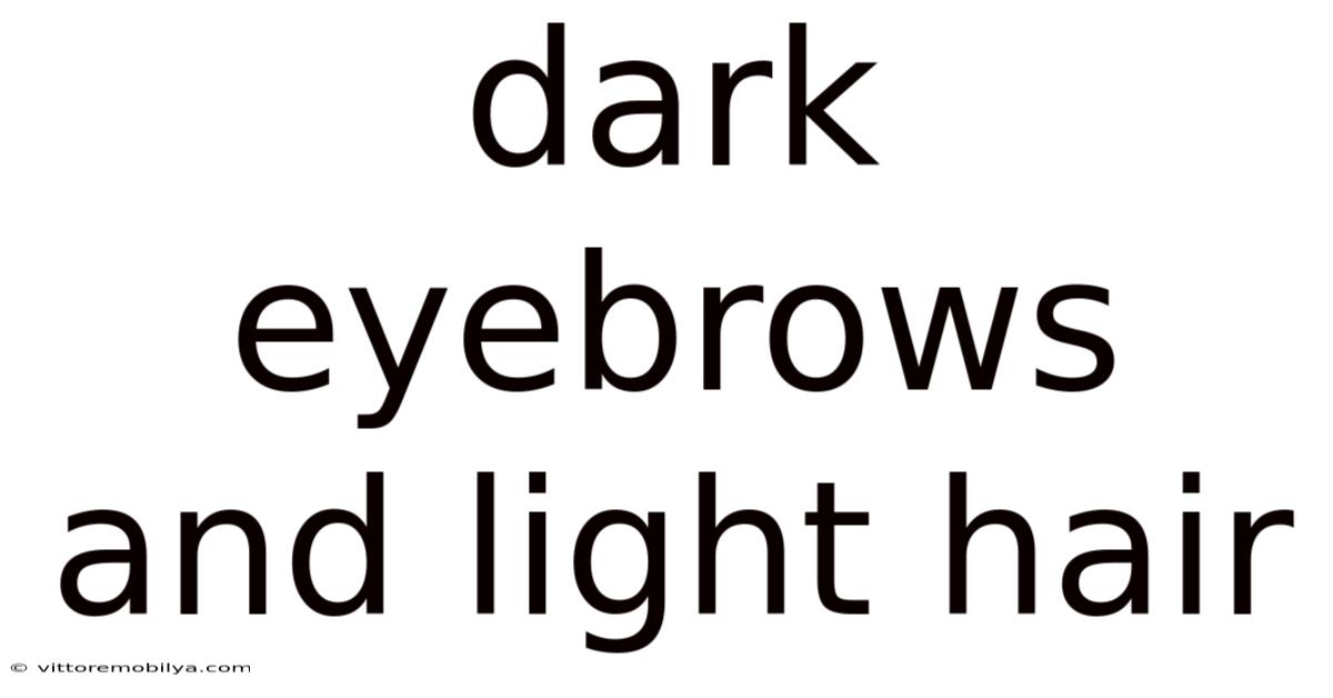 Dark Eyebrows And Light Hair