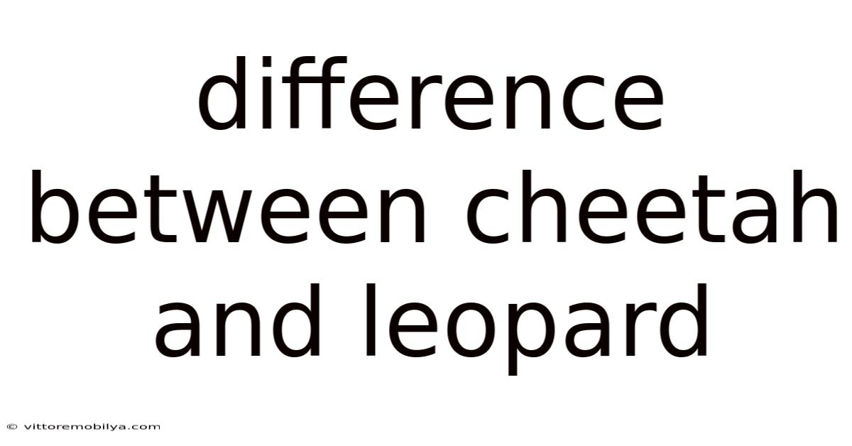 Difference Between Cheetah And Leopard