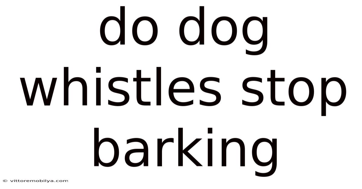 Do Dog Whistles Stop Barking