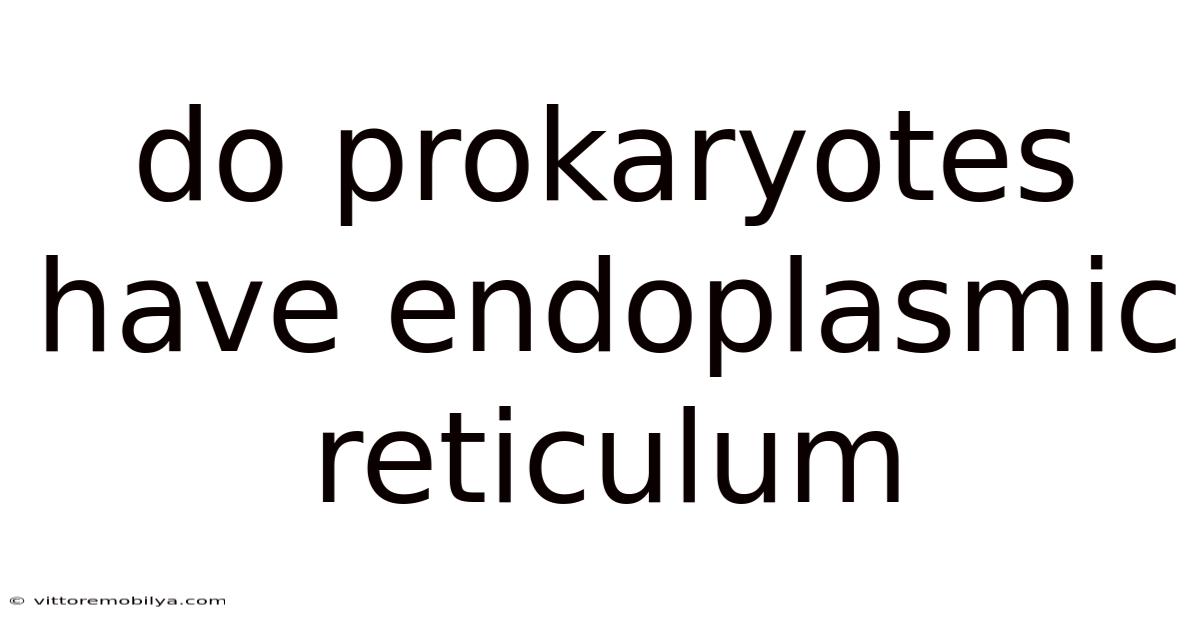 Do Prokaryotes Have Endoplasmic Reticulum