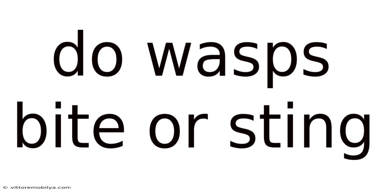 Do Wasps Bite Or Sting