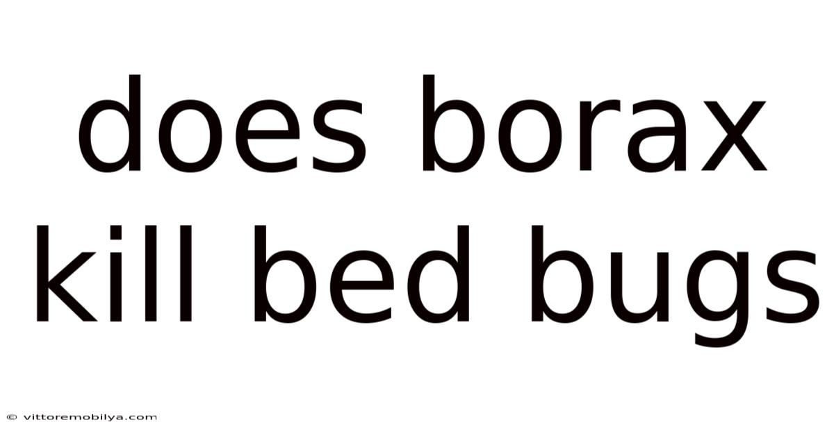 Does Borax Kill Bed Bugs
