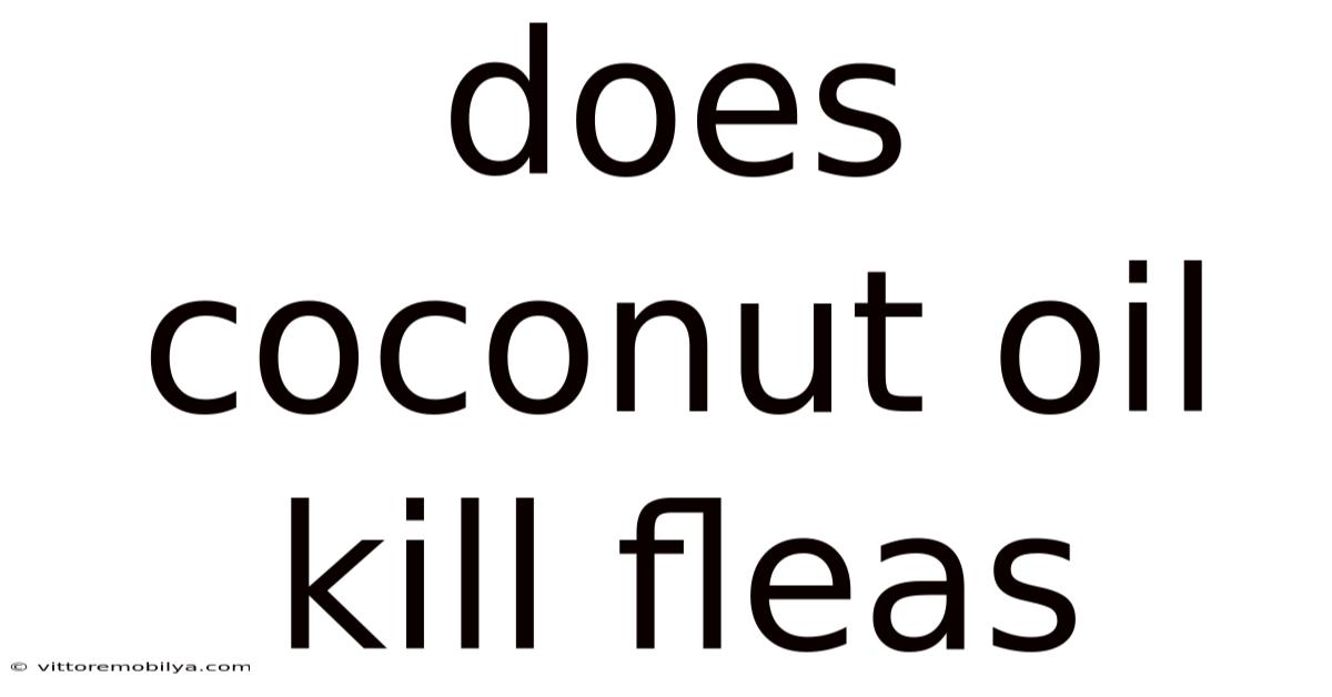 Does Coconut Oil Kill Fleas