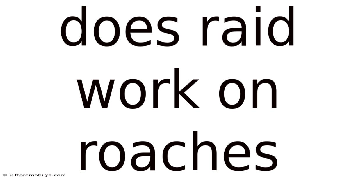 Does Raid Work On Roaches