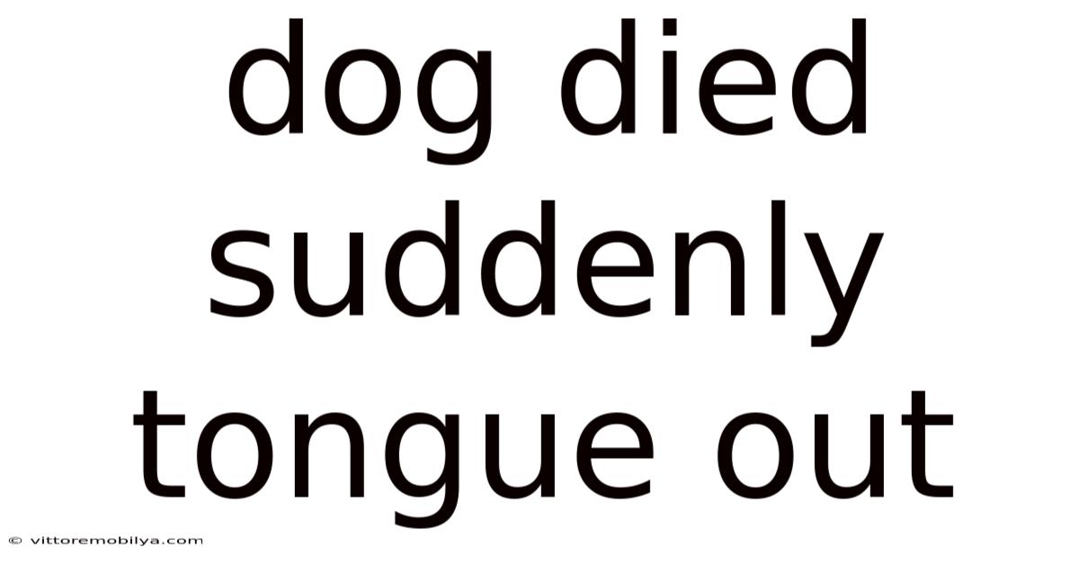 Dog Died Suddenly Tongue Out