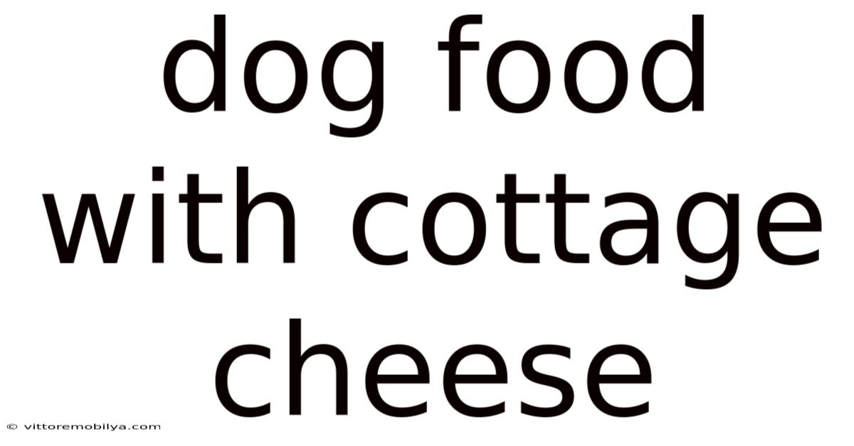 Dog Food With Cottage Cheese