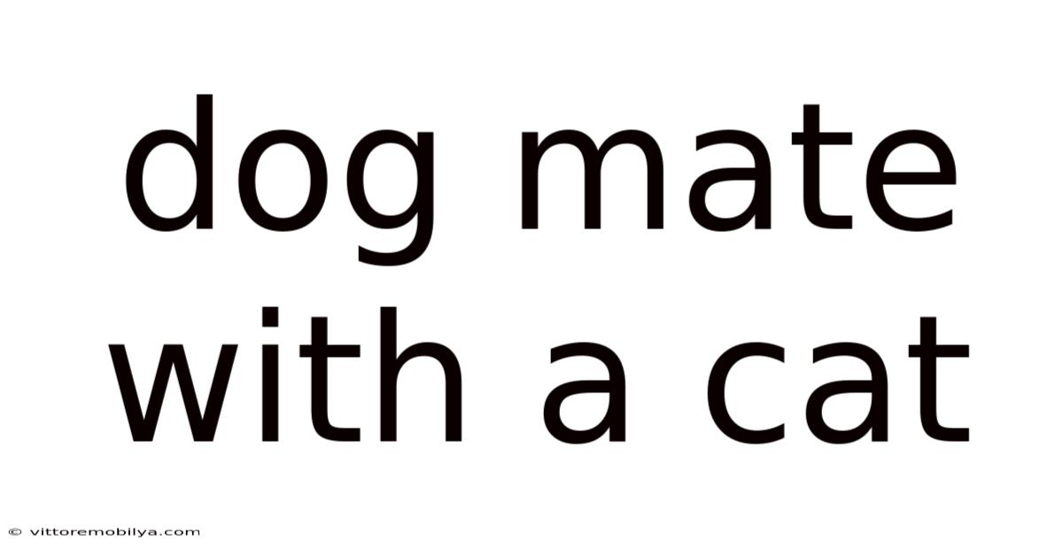 Dog Mate With A Cat