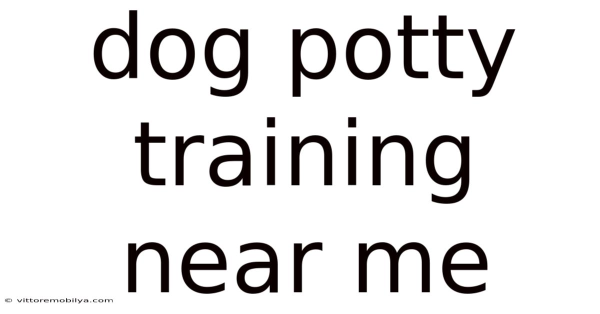 Dog Potty Training Near Me