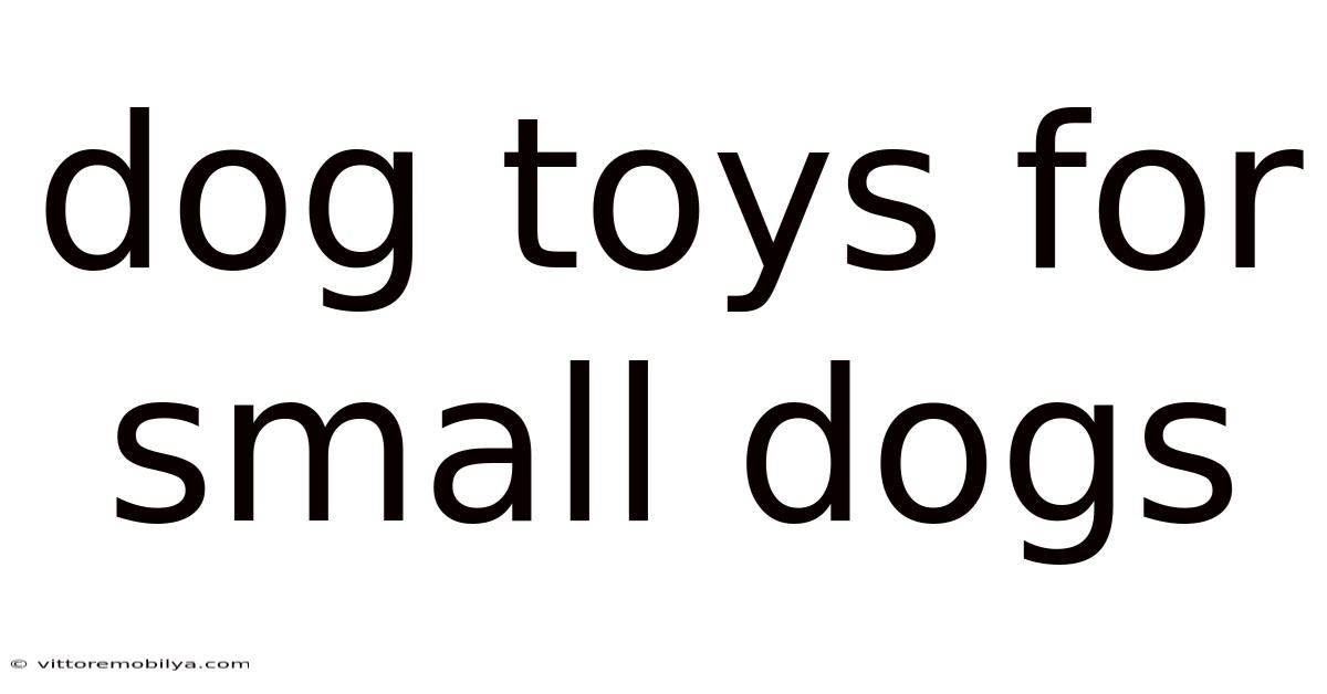 Dog Toys For Small Dogs