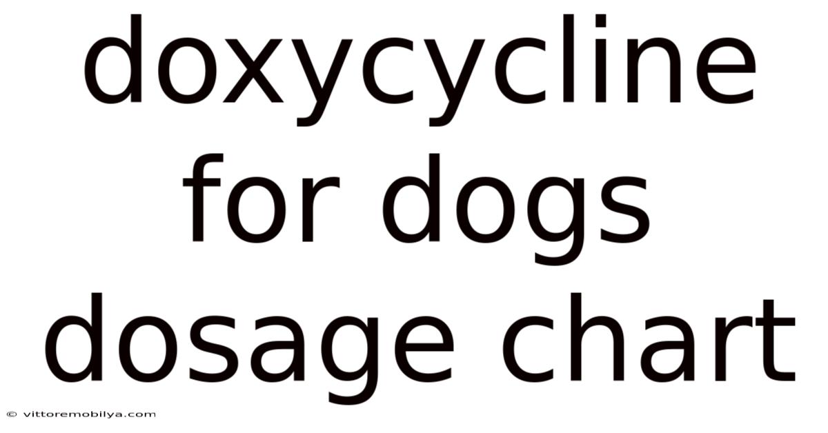 Doxycycline For Dogs Dosage Chart