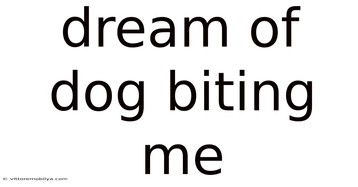 Dream Of Dog Biting Me