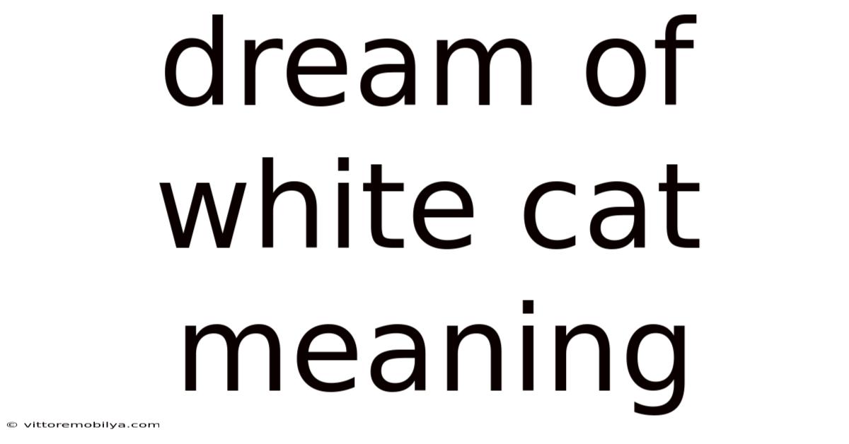 Dream Of White Cat Meaning