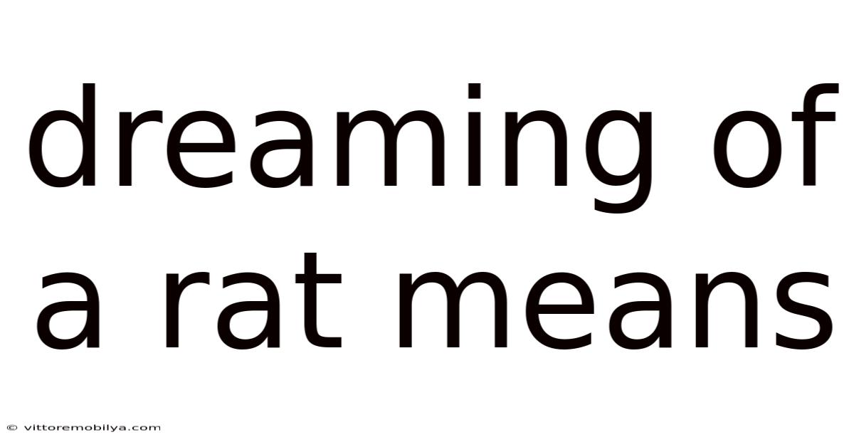 Dreaming Of A Rat Means