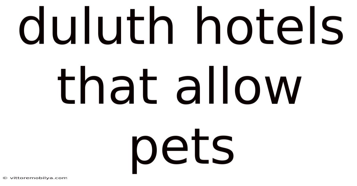 Duluth Hotels That Allow Pets