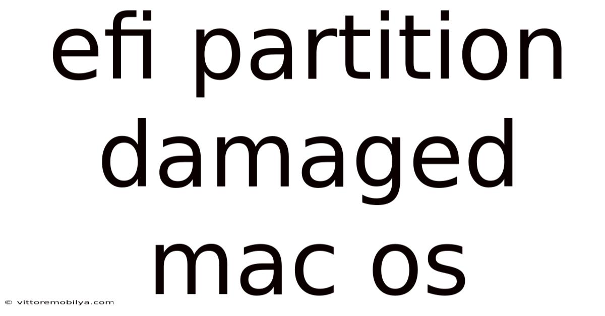Efi Partition Damaged Mac Os