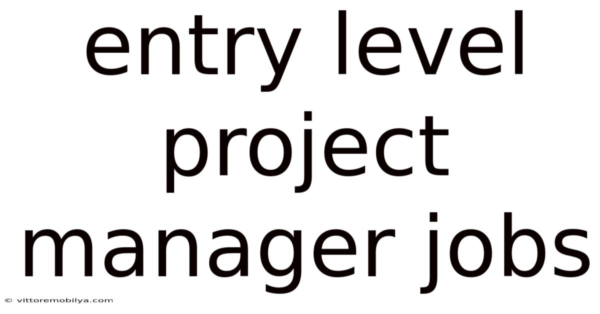 Entry Level Project Manager Jobs