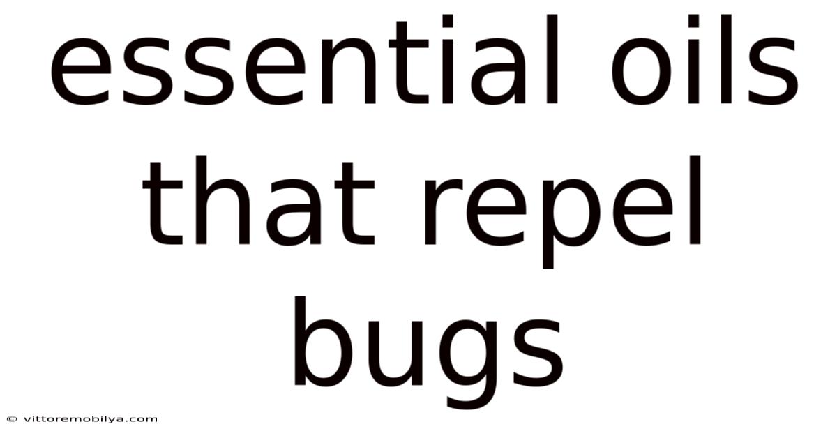Essential Oils That Repel Bugs