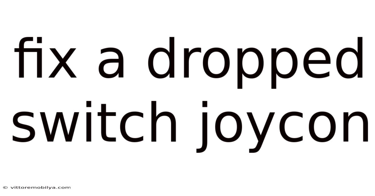 Fix A Dropped Switch Joycon