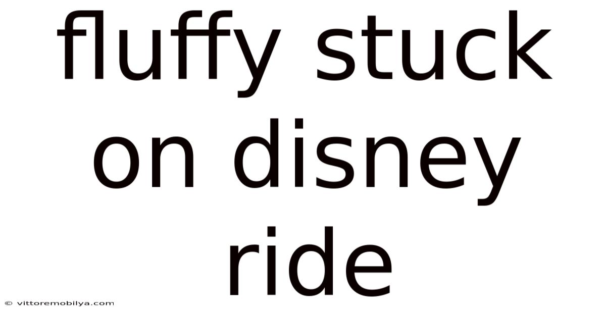 Fluffy Stuck On Disney Ride
