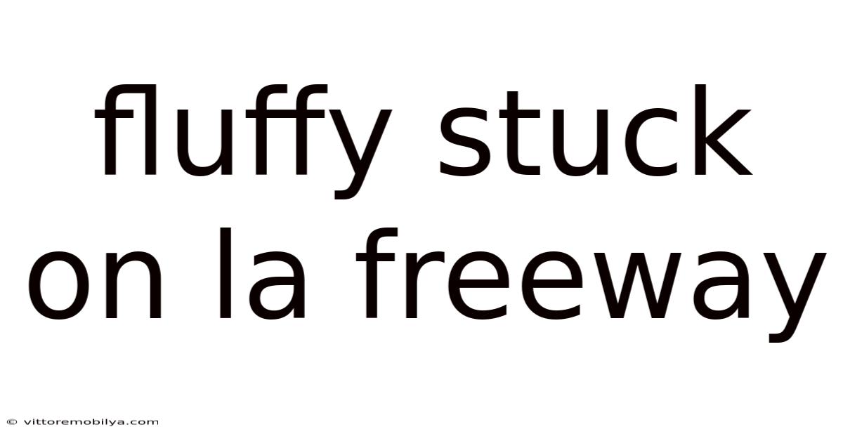 Fluffy Stuck On La Freeway