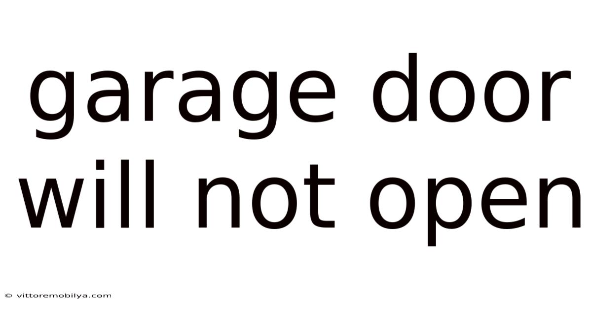 Garage Door Will Not Open