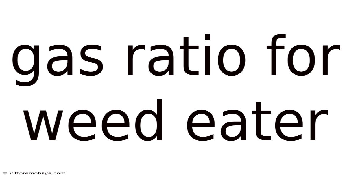 Gas Ratio For Weed Eater