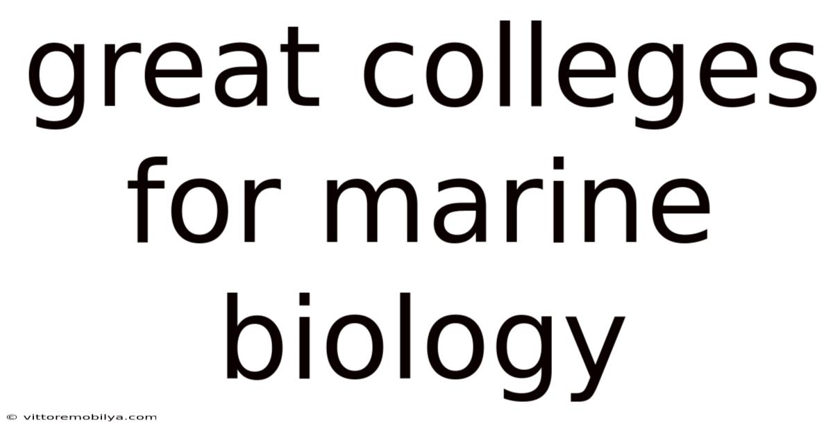 Great Colleges For Marine Biology