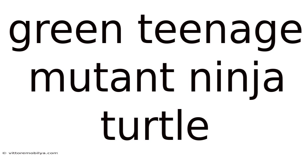 Green Teenage Mutant Ninja Turtle