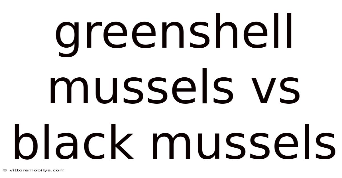 Greenshell Mussels Vs Black Mussels