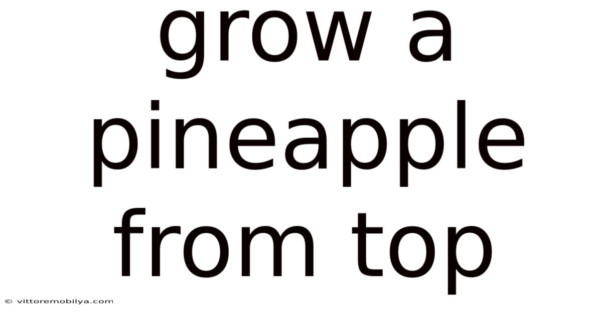 Grow A Pineapple From Top