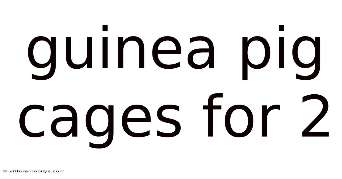 Guinea Pig Cages For 2