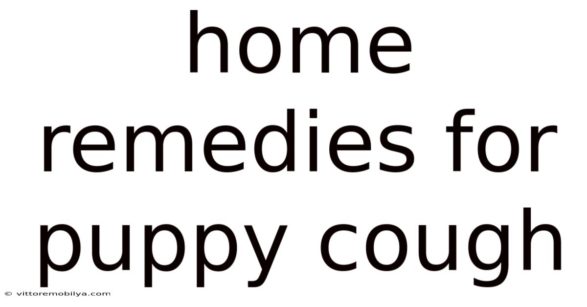 Home Remedies For Puppy Cough