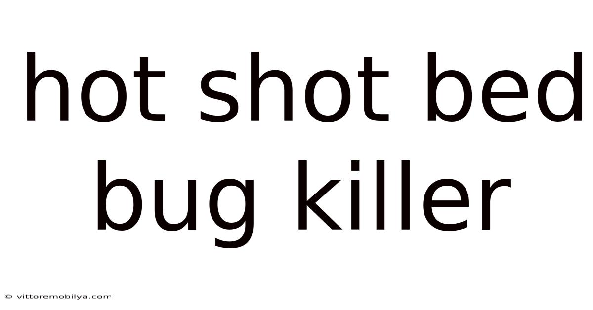 Hot Shot Bed Bug Killer