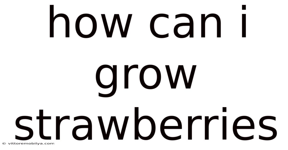 How Can I Grow Strawberries