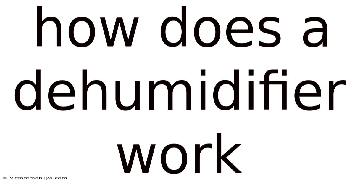 How Does A Dehumidifier Work