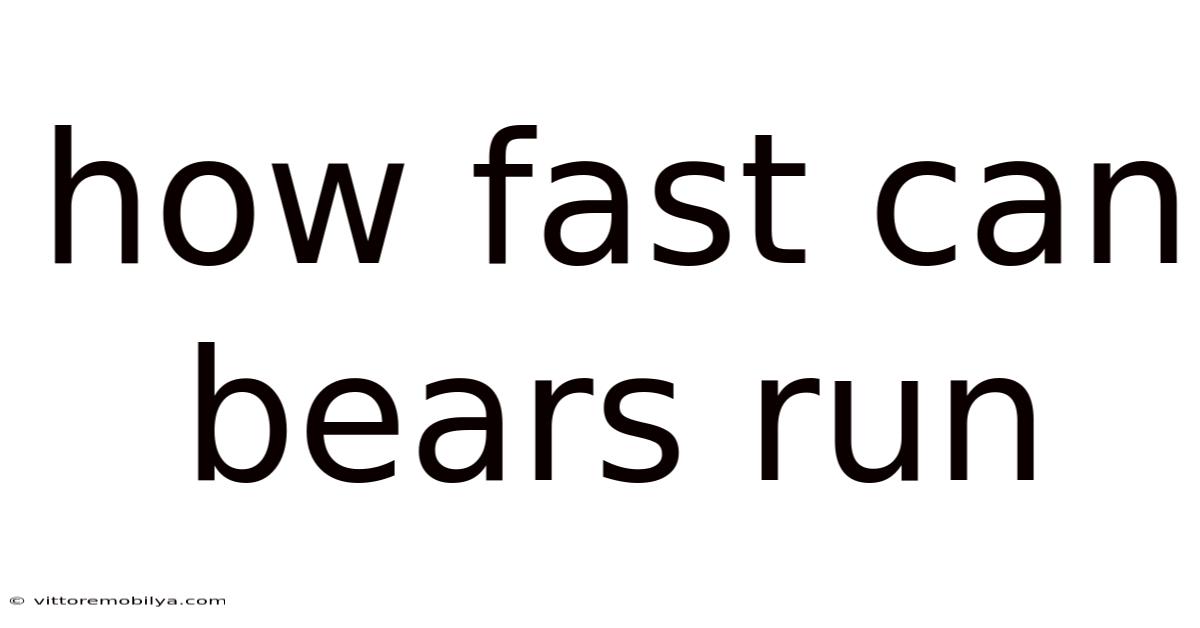 How Fast Can Bears Run