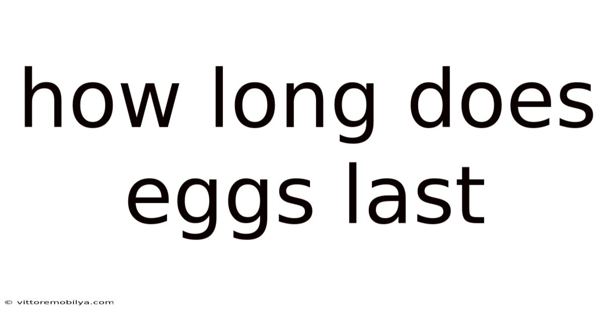How Long Does Eggs Last