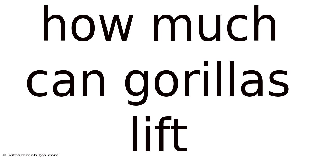 How Much Can Gorillas Lift