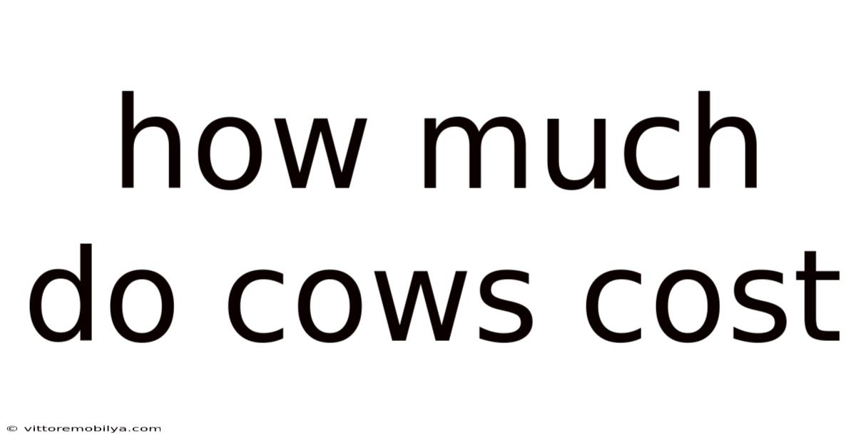 How Much Do Cows Cost