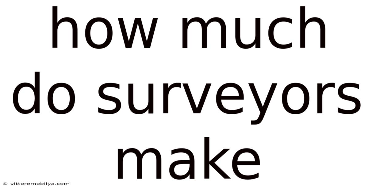 How Much Do Surveyors Make