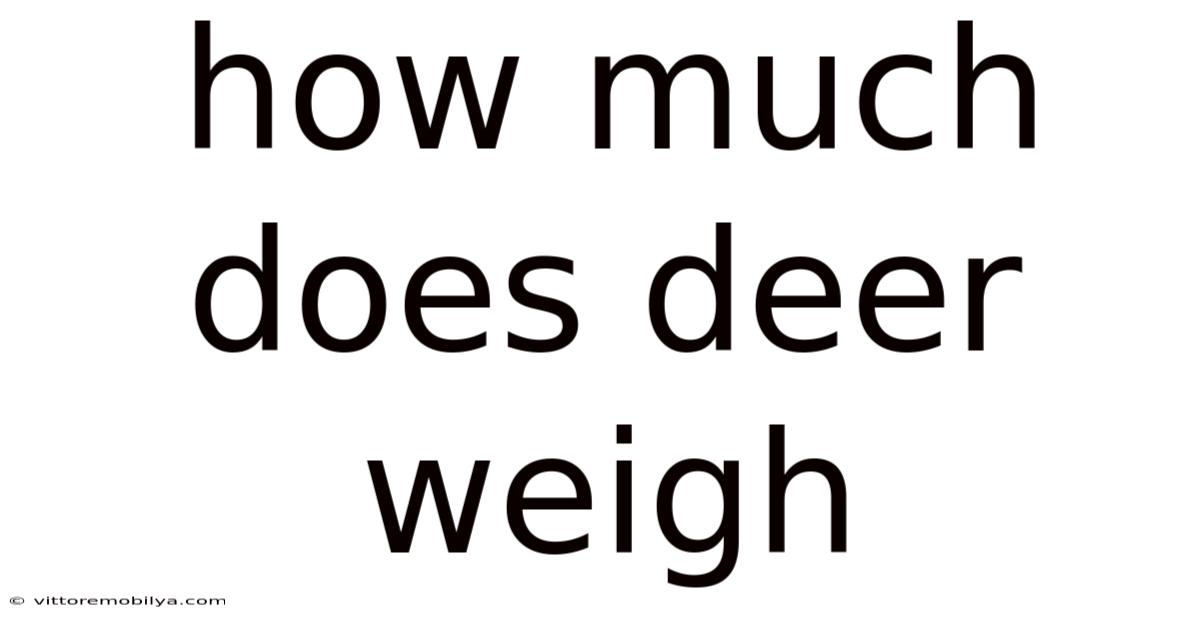 How Much Does Deer Weigh