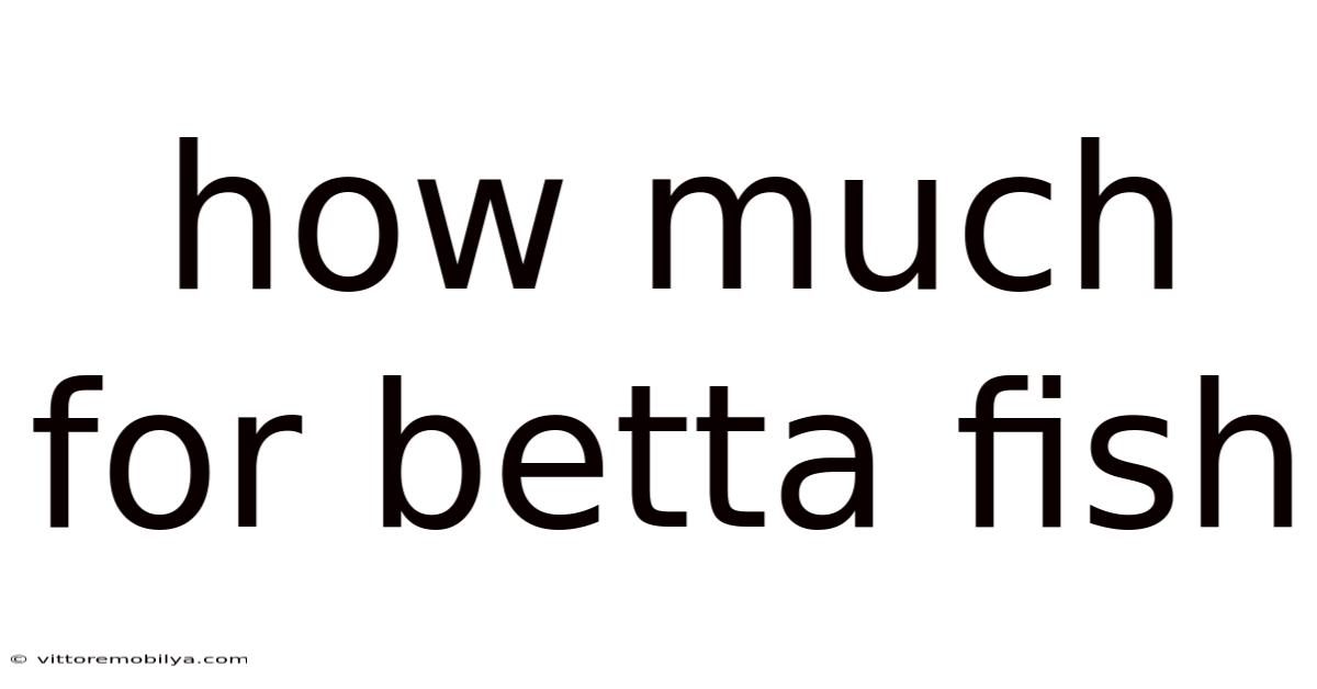 How Much For Betta Fish