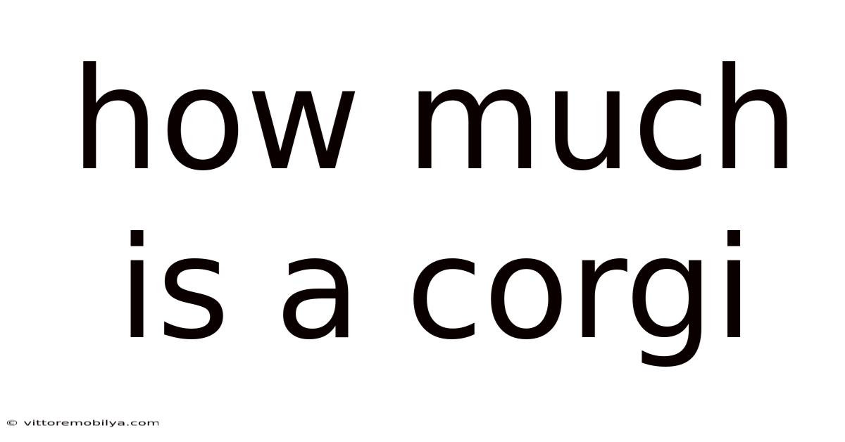How Much Is A Corgi