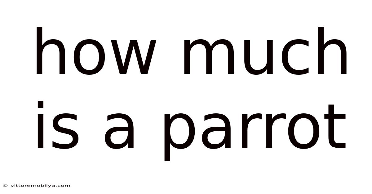 How Much Is A Parrot