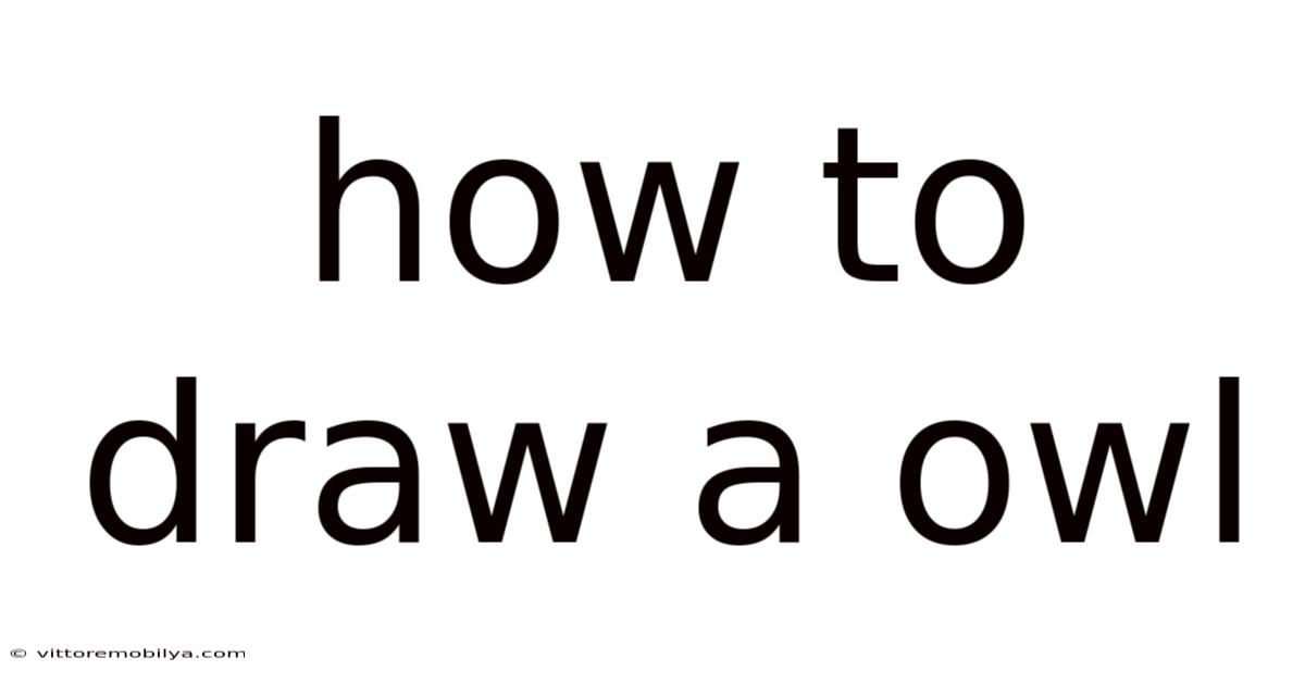 How To Draw A Owl
