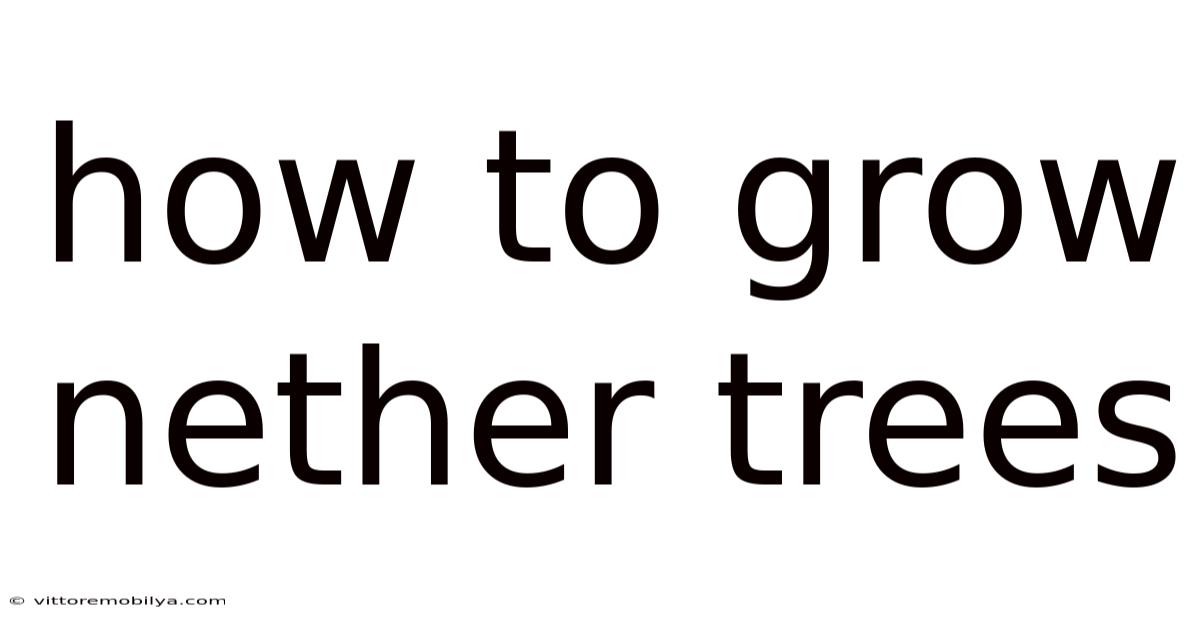 How To Grow Nether Trees