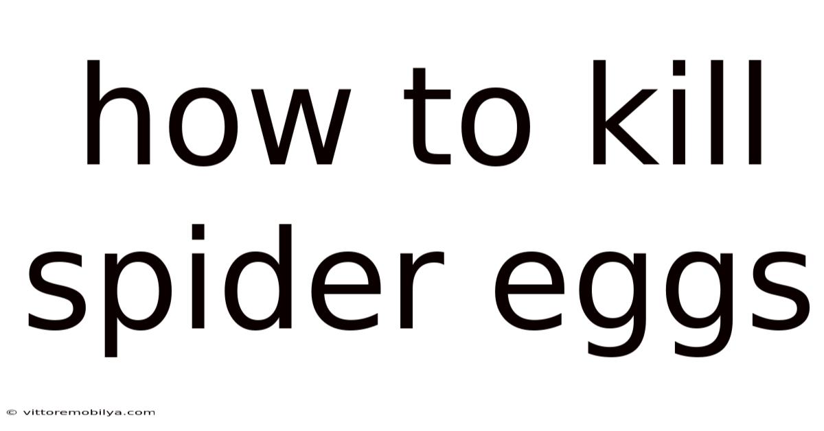 How To Kill Spider Eggs
