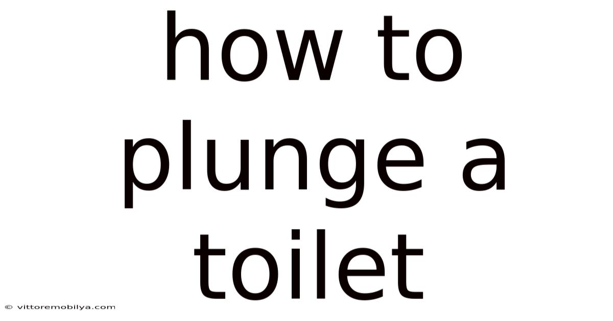 How To Plunge A Toilet