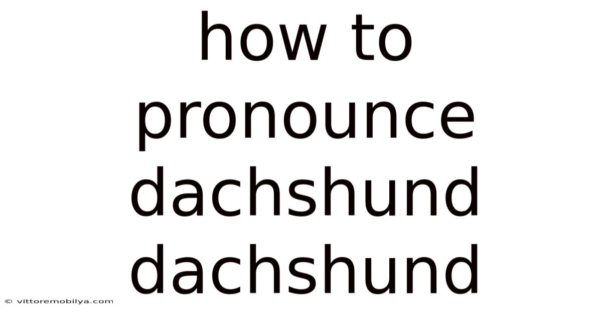 How To Pronounce Dachshund Dachshund